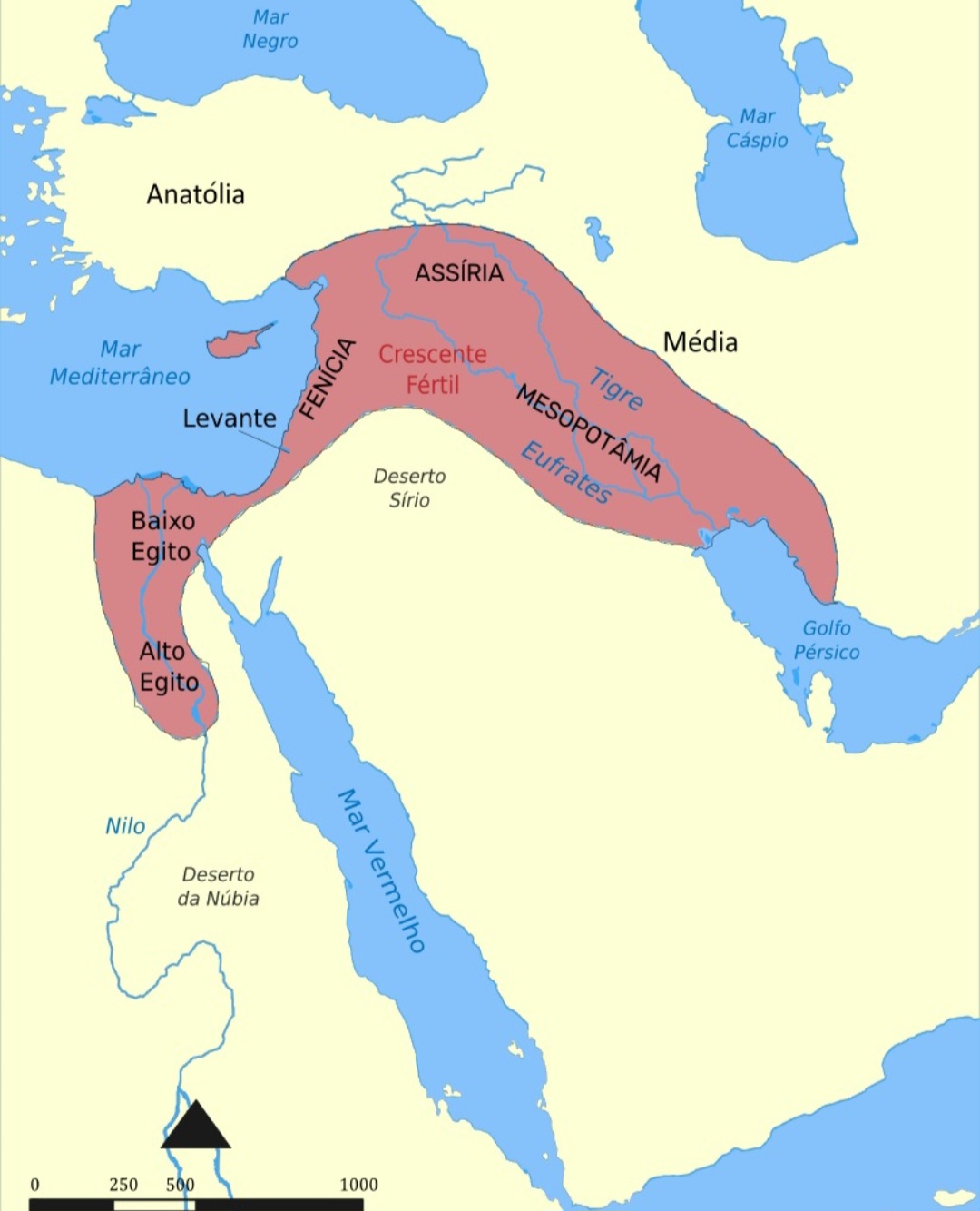 A história do trigo remonta a cerca de 10.000 anos, na região do "Crescente Fértil" (região dos atuais estados da Palestina, Israel, Jordânia, Kuwait, Líbano e Chipre), na Ásia , onde se originou e foi domesticado.