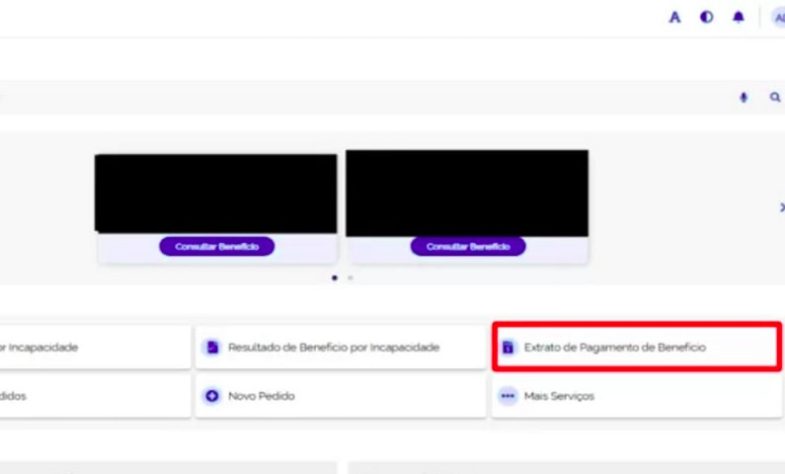 Site, plataforma, MEU INSS