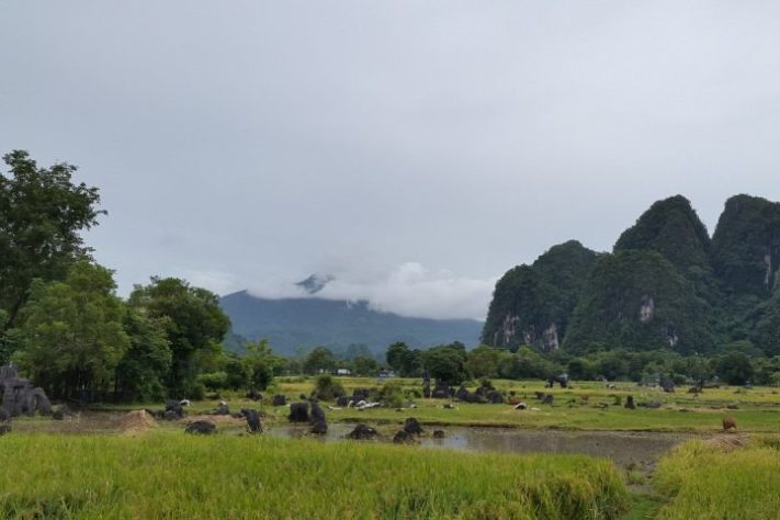 Sulawesi, Indonésia