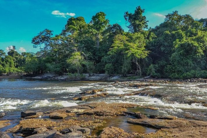 Rio Wayambo (Suriname)