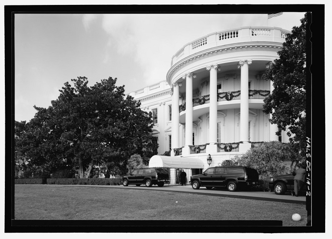 A árvore foi plantada pelo ex-presidente Andrew Jackson em homenagem à sua esposa, que faleceu antes de sua posse em 1829.