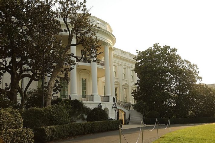 Magnólia de Jackson - Donald Trump quer derrubar árvore centenária da Casa Branca