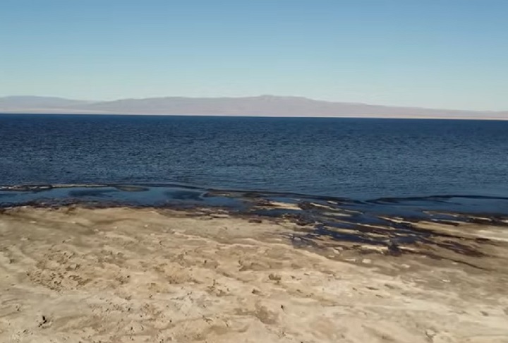 Diante disso, a Autoridade do Mar de Salton fez um alerta: se as ações para enfrentar esses problemas não forem reforçadas, a região pode ficar "inabitável", tanto para pessoas quanto para animais.