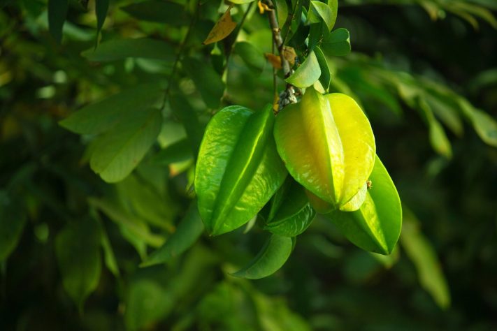 Carambola