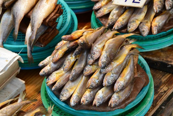 Sardinha custa menos do que outros peixes, mas tem alto teor de proteína; aproveite