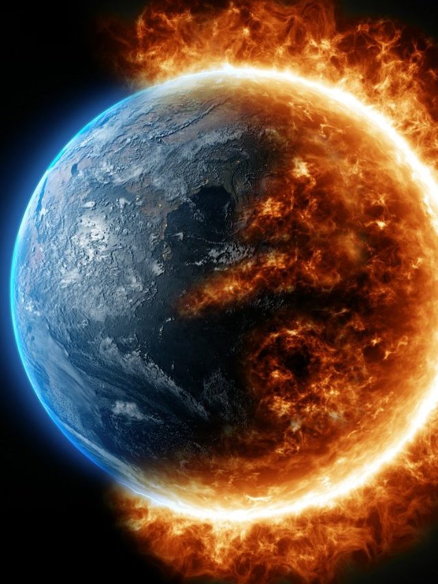 Cientista dá o alerta: nova extinção em massa será a ‘mais rápida da história’