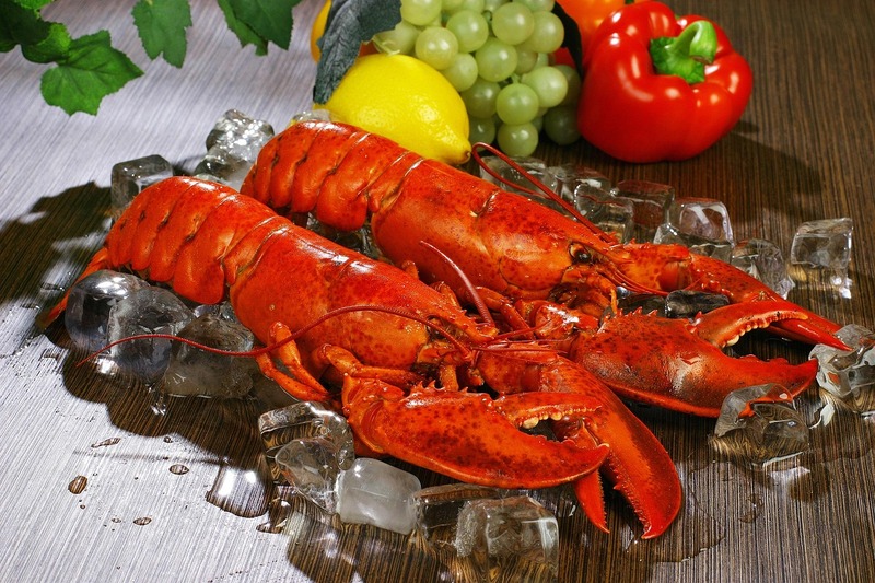 Em sua história mais antiga, que remonta à Idade da Pedra, a lagosta era considerada “alimento de sobrevivência”. No entanto, quando o comércio marítimo começou a remodelar o mundo, ela tornou-se um ingrediente fundamental para os europeus aristocráticos.
