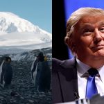 Montagem - Tarifa de Trump sobre ilhas desabitadas da Austrália vira meme nas redes