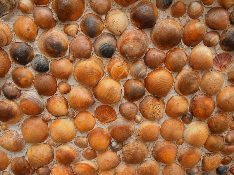 A proliferação desta espécie exótica tem sido motivo de preocupação devido ao seu impacto ambiental e econômico, principalmente em áreas aquáticas, como hidrelétricas. Isso porque o mexilhão dourado pode obstruir as estruturas e prejudicar o funcionamento.