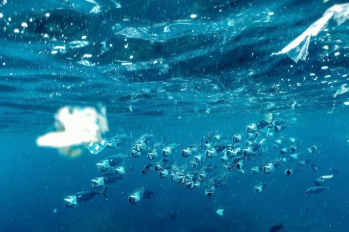 Microplásticos no mar