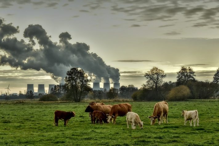 Gases do efeito estufa
