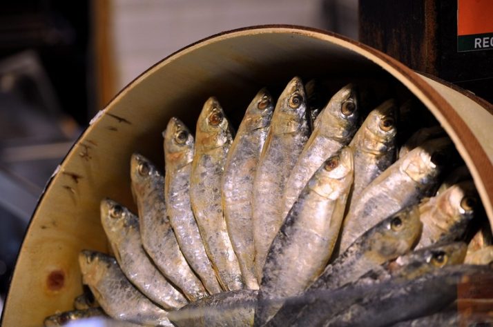 Sardinha