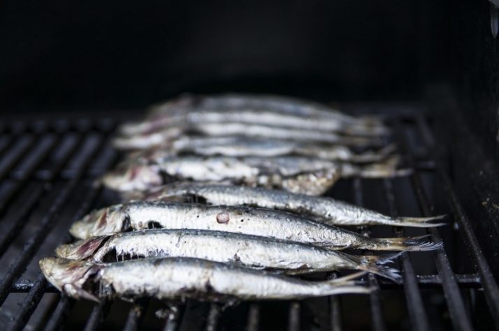 Sardinha