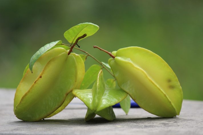Carambola