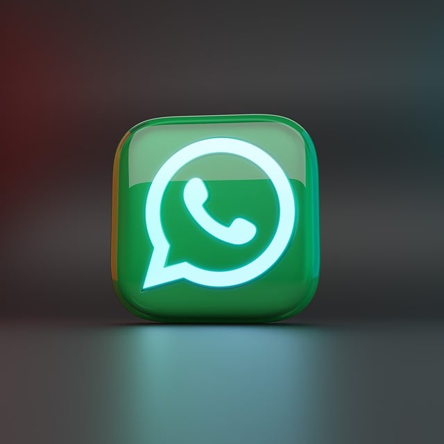 Além disso, é necessário manter espaço suficiente de armazenamento interno para que o app possa receber atualizações, incluindo novos recursos de segurança e comunicação.