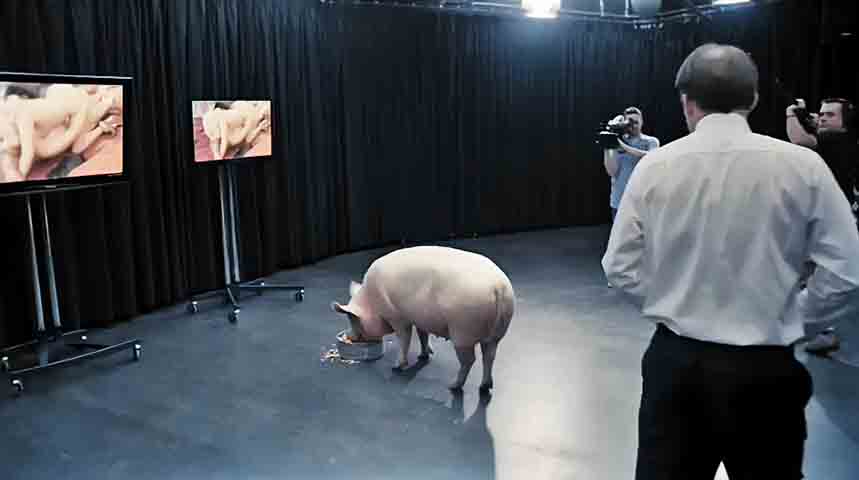 Na estreia da primeira temporada, Black Mirror já deixava claro a que vinha. 