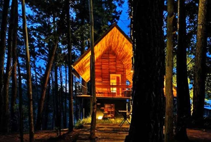 Cabana na floresta/acomodação