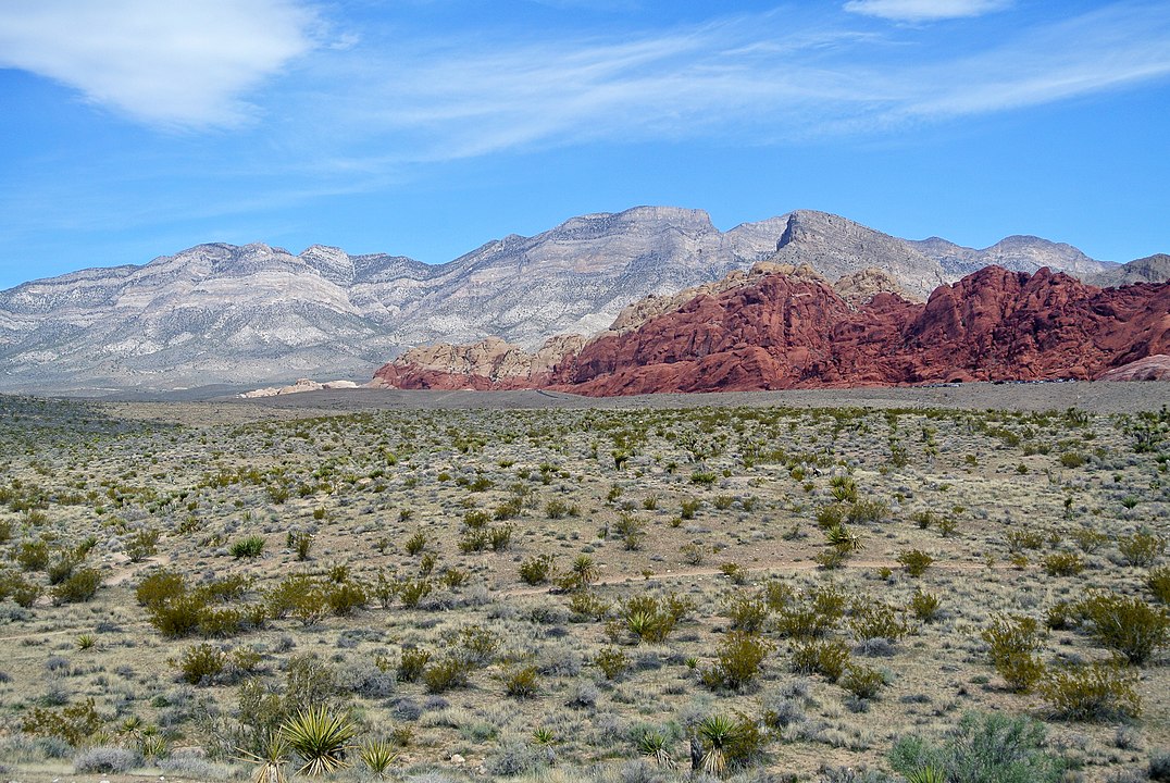 O Red Rock Canyon fica a cerca de 27 km da cidade. O parque estadual é perfeito para trilhas, escalada e passeios cênicos, com formações rochosas vermelhas icônicas e vistas espetaculares?-Wilson44691  wikimedia commons 