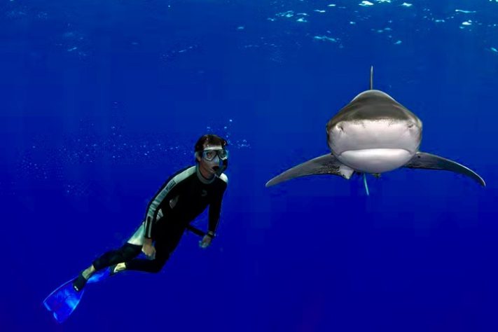 Daneil Botelho - Fotógrafo brasileiro conhecido por registrar tubarões-branco