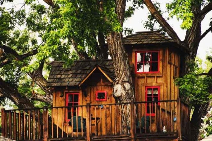 Casa na árvore