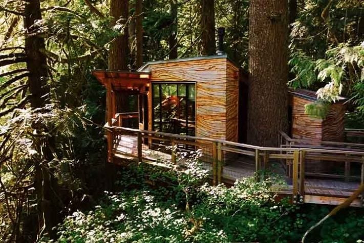 Casa/cabana na árvore
