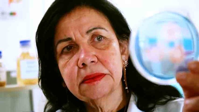 Pesquisadora brasileira conquista ‘Nobel da Agricultura’