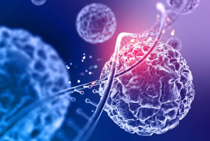 Rede neural/células/DNA