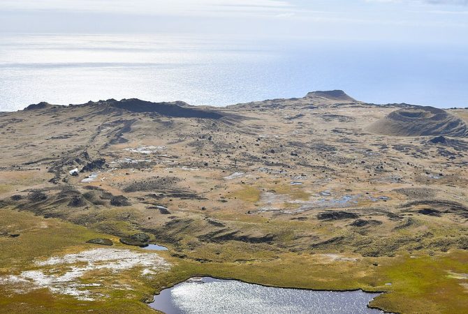 Gado introduzido em ilha remota do Oceano Índico se adaptou e foi abatido; entenda