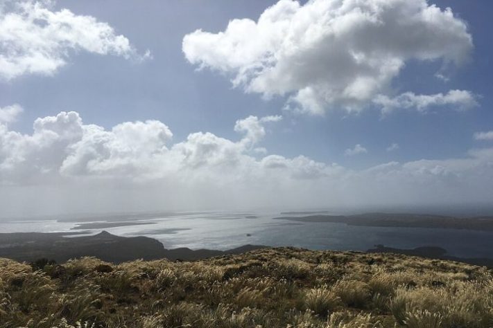 Ilhas Auckland