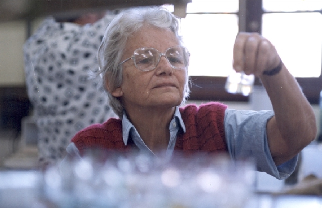 Outro influência decisiva em sua caminhada foi a engenheira agrônoma Joana Döbereiner (1924 - 2000). Mariangela ingressou na Embrapa a convite da cientista. 
