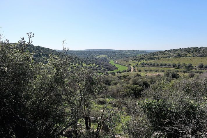 Judeia, Israel