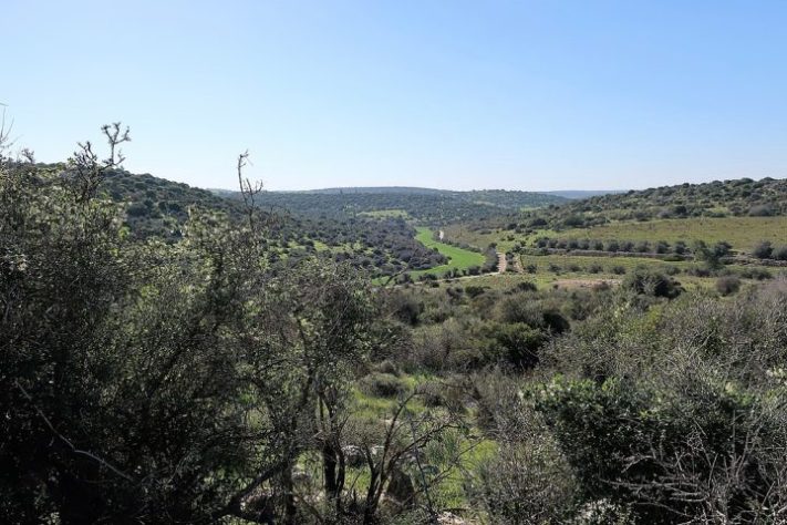 Judeia, Israel
