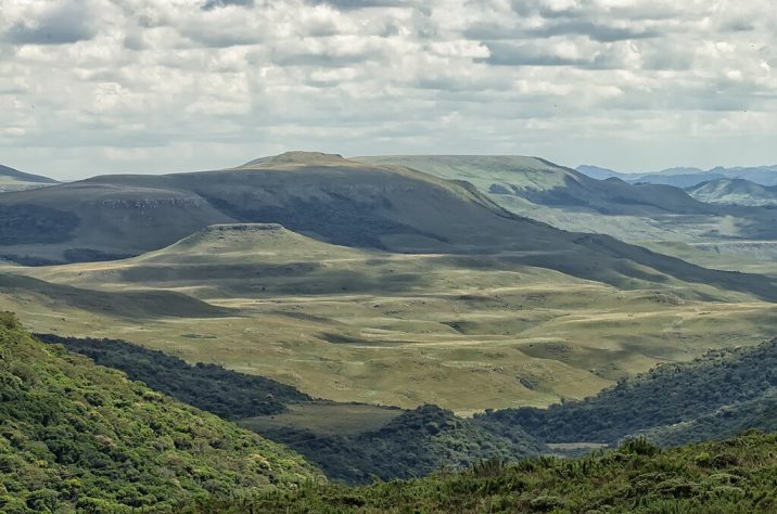 Parque Nacional de São Joaquim (SC)