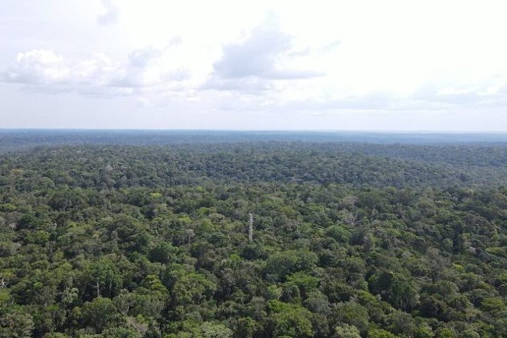 Reserva Biológica do Uatumã, Pará