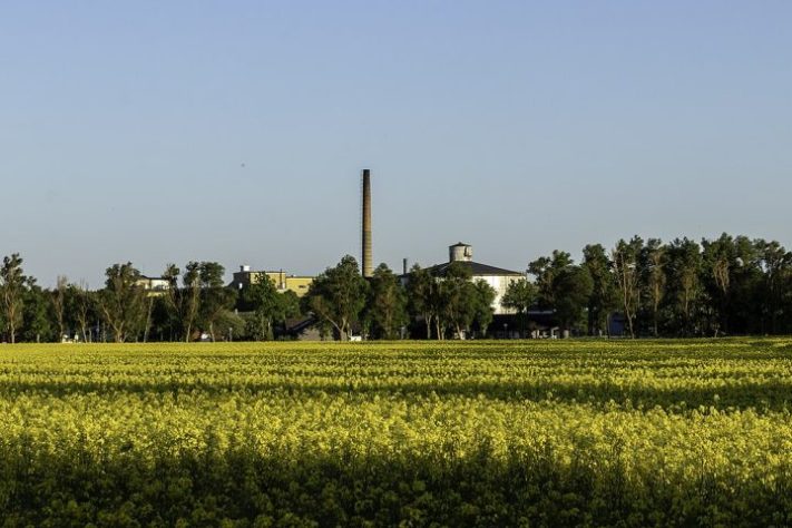 Gotland, Suécia
