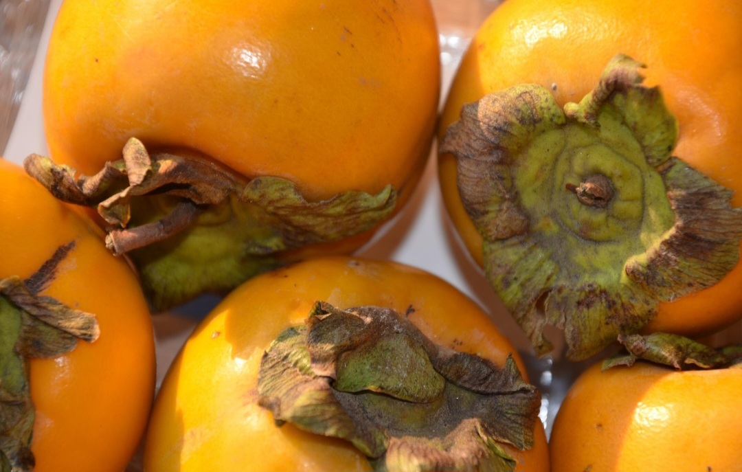 A fruta Ã© rica em vitaminas A, B1, B2 e E, bem como cÃ¡lcio, ferro, fibras e antioxidantes, que favorecem o fortalecimento do sistema imunolÃ³gico. AlÃ©m de retardar o desenvolvimento de doenÃ§as crÃŽnicas, cardÃ­acas, cÃ¢ncer e condiÃ§Ãµes neurolÃ³gicas.