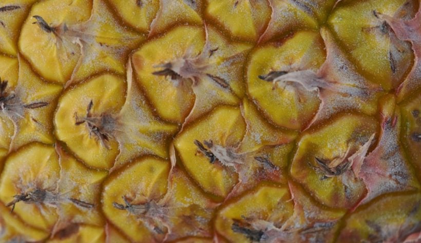 Abacaxi