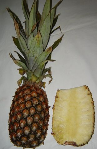 Abacaxi