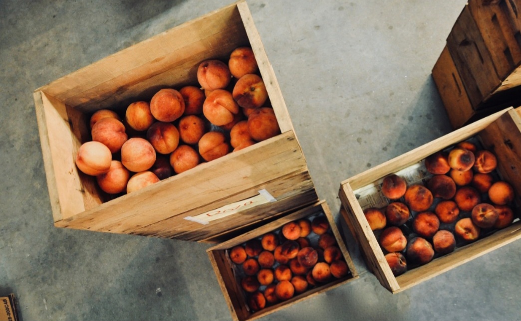 O pêssego é cultivado em diversas regiões do Brasil, principalmente no sul e sudeste, onde o clima é mais favorável para a produção da fruta. 

-Pixabay 