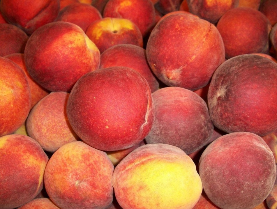 A vitamina A e o betacaroteno presentes neste fruto são importantes para a saúde ocular e podem ajudar a prevenir problemas de visão. Nutrientes que favorecem a prevenção da catarata e evita degeneração macula, uma doença que diminui a nitidez e a capacidade da visão central.-Pixabay