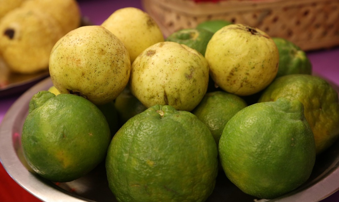 O nome "goiaba" vem do tupi "coyhaba", que significa "sementes juntas-amontoadas-aglomeradas". A cultura desta fruta gera empregos e renda, especialmente em áreas rurais, e contribui para a segurança alimentar (práticas de produção até a qualidade do produto final) e a diversidade da dieta. 