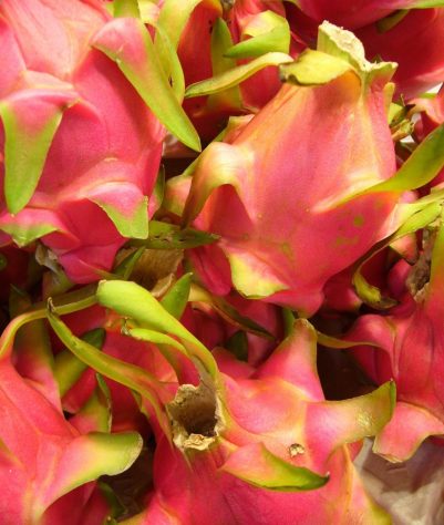 Pitaya