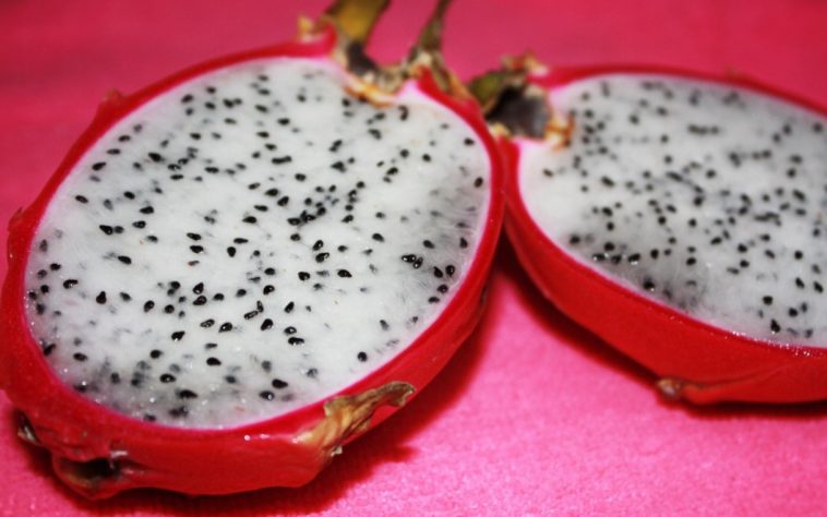 Pitaya