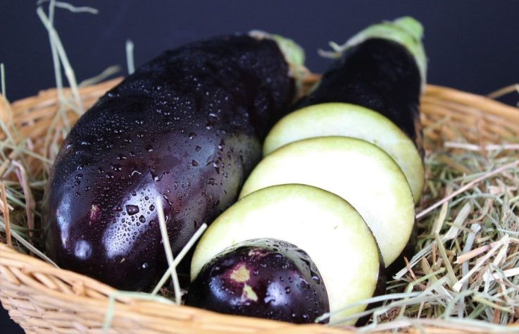 Berinjela