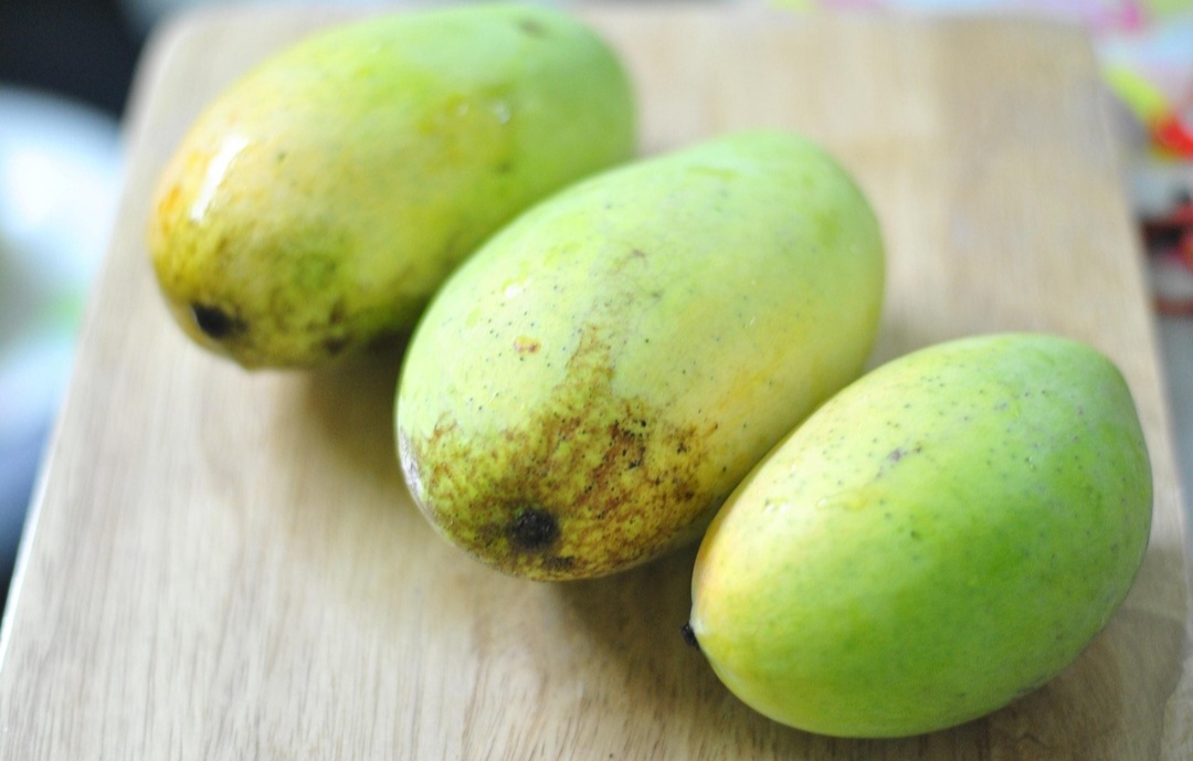 Economicamente, o cultivo da manga gera empregos, impulsiona a economia local e internacional, e contribui para a balança comercial brasileira. O caroço deste fruto pode ser plantado para gerar uma nova mangueira. -Pixabay 