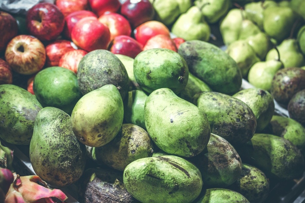 A manga é uma fruta muito apreciada no Brasil, sendo consumida em diversas formas, como fresca, sucos, doces, compotas e sorvetes. -Pixabay 