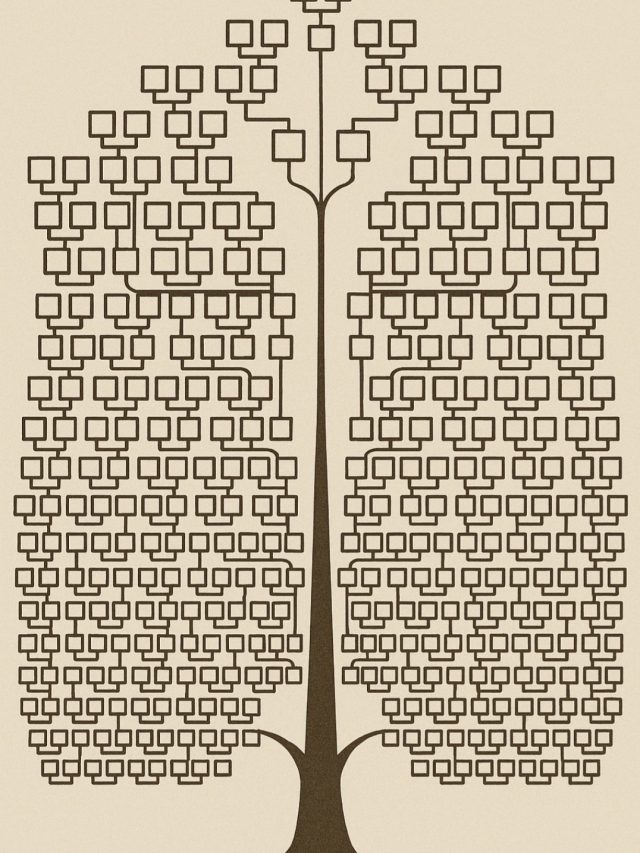 Pesquisa revela 6 descendentes vivos da família de Leonardo da Vinci