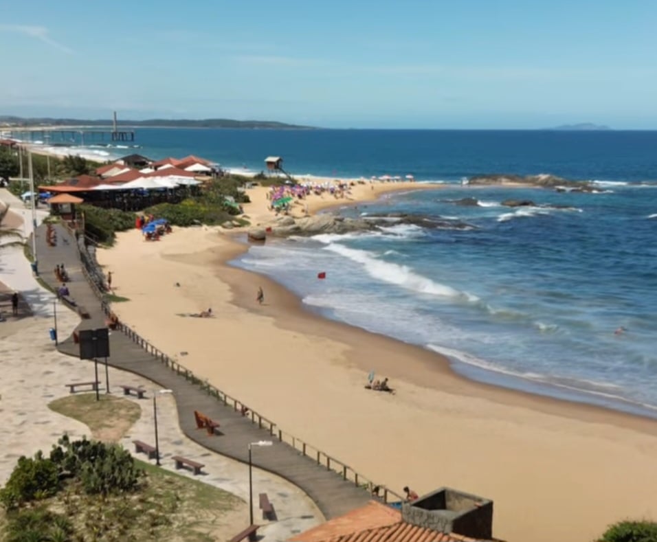 Elas receberam socorro e se recuperaram. Especialistas apontam que o comportamento defensivo dos peixes pode ter sido causado pela movimentação dos banhistas na água. 