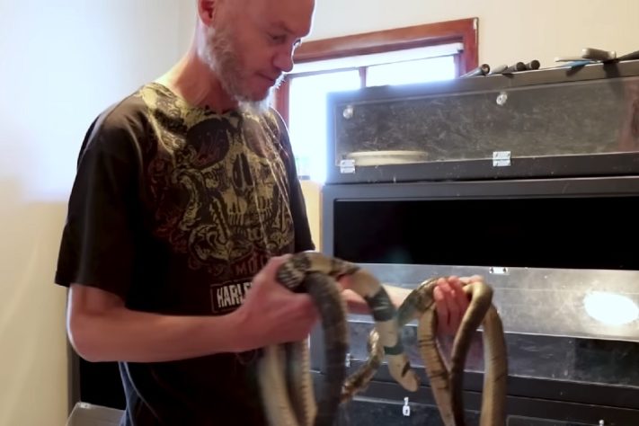 Tim Friede - Homem injeta veneno de cobras em si mesmo para desenvolver soro universal