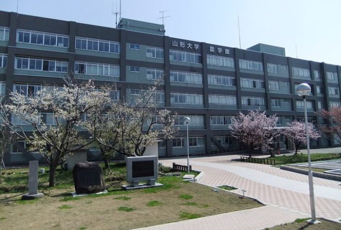 Universidade Yamagata